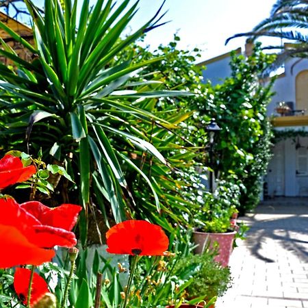 Villa Elena Studios Dassia  Zewnętrze zdjęcie