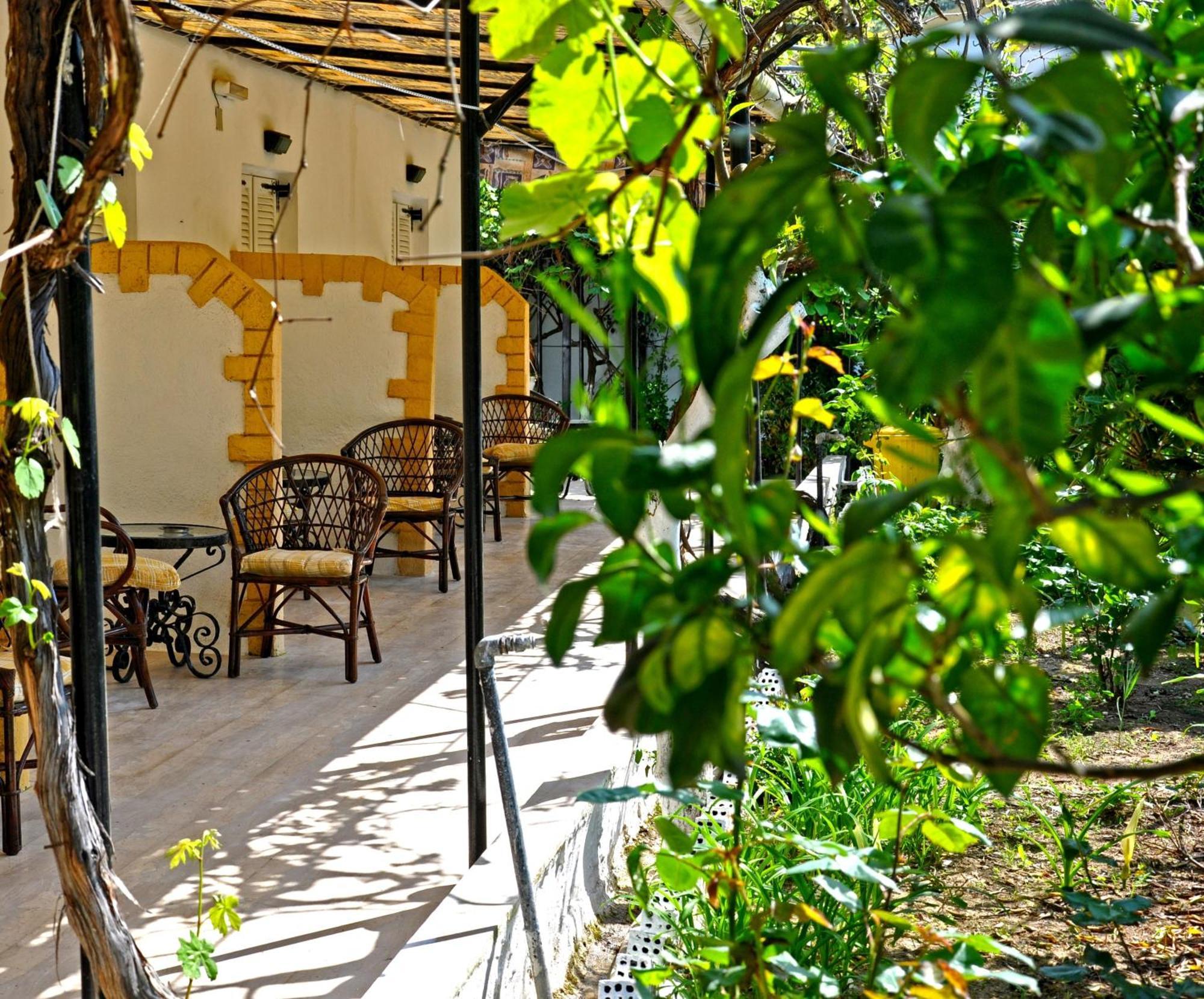 Villa Elena Studios Dassia  Zewnętrze zdjęcie